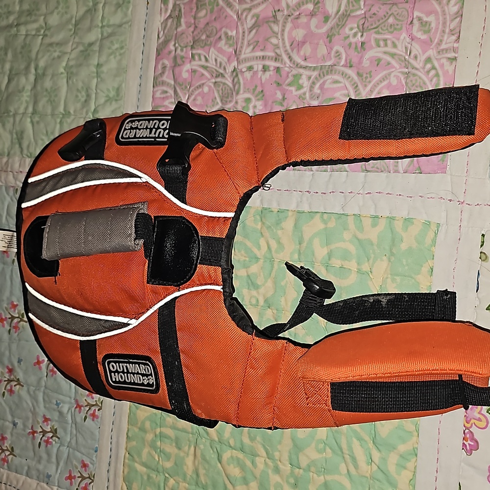 Doggie life vest
